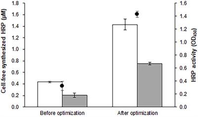 Production of Recombinant Horseradish Peroxidase in an Engineered Cell-free Protein Synthesis System